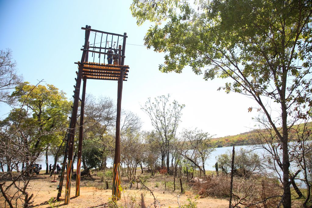 Zipline Thrills